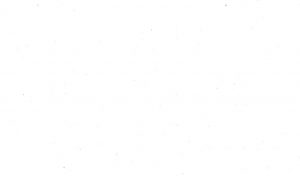 Baily M Tellinghuisen