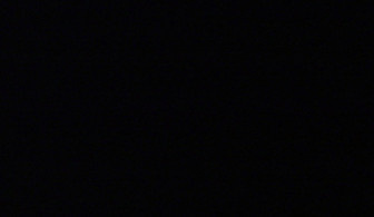 Gaige William Parker