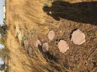 Hayden Leon Fulwider