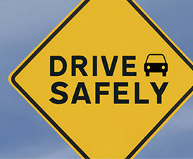 Marely Uriostegui-flores