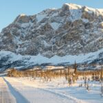 How Important Are Alaska Drivers Ed and Defensive Driving Courses?