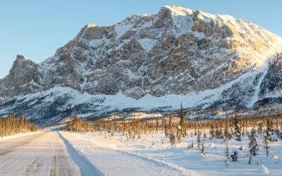 How Important Are Alaska Drivers Ed and Defensive Driving Courses?