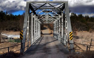 Steer Your Future: Why Nebraska’s Online Driver’s Ed is Your Road to Freedom