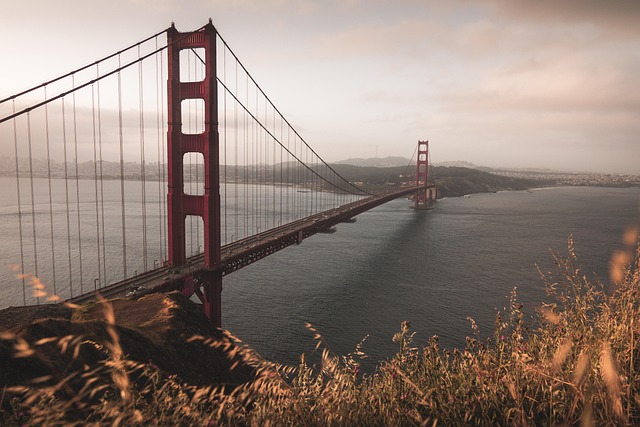 California Behind-the-Wheel Training for Safe Driving – DMV Certified