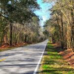 Master the Road with South Carolina Drivers Ed Online Tailored for Teens!