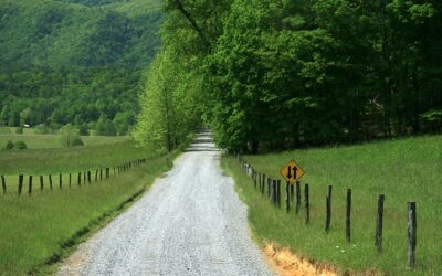 Why Tennessee Teens Should Take Drivers Ed Online