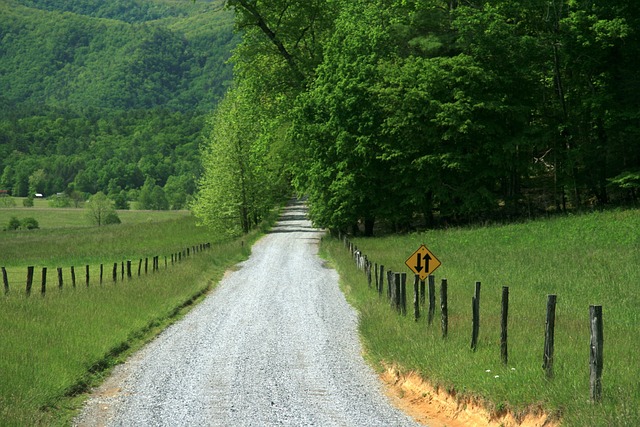 Why Tennessee Teens Should Take Drivers Ed Online