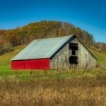 West Virginia Drivers Ed Online Your Fast Track to Freedom (and a License!)
