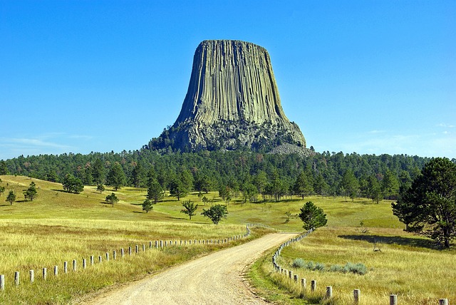 Wyoming Defensive Driving Course: Save on Insurance and Drive Smarter